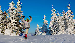 Winterurlaub am Arber im Bayerischen Wald